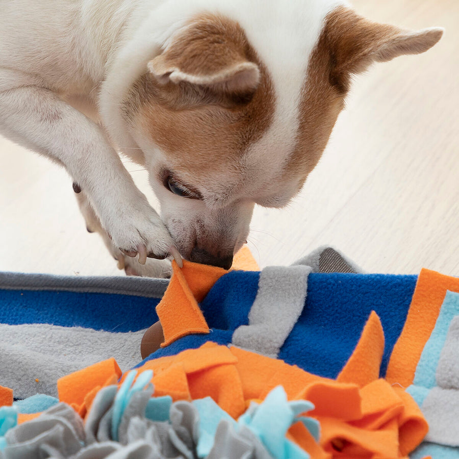 Sniffing Mat for Pets Fooland InnovaGoods